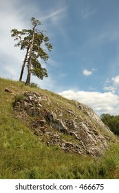 Tree on a hill