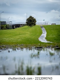 Tree On A Hill With A Winding Path Going Up The Hill Beside It And Body Of Water Reflecting The Sky At The Bottom