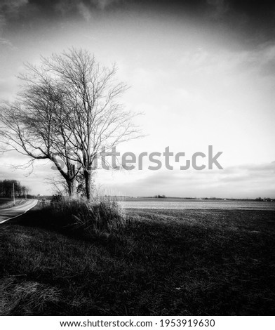Similar – Image, Stock Photo walk. Black White