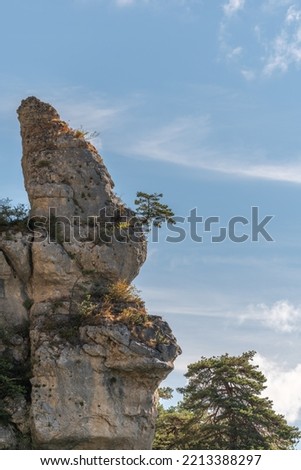 Tree on rocky peak in gorges of jonte. Aveyron, Cevennes, France.