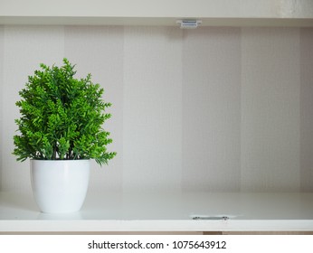  tree on the shelf .