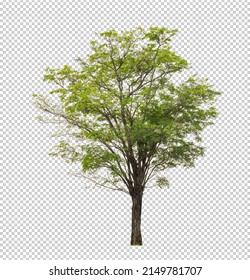 Tree on transparent picture background with clipping path, single tree with clipping path and alpha channel - Shutterstock ID 2149781707