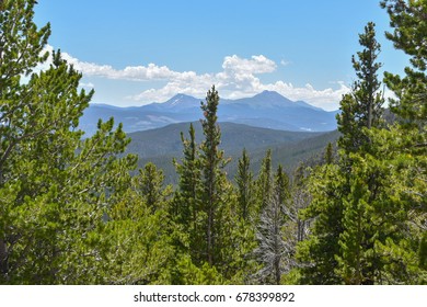 Tree outlook