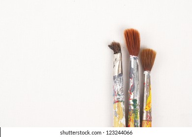 Paint Brush Tree