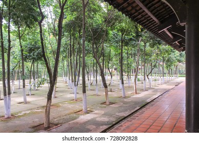 Tree park