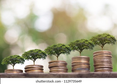 Tree Plant growing  on Money coin stack  . Saving money concept. finance sustainable development . economic growth. 