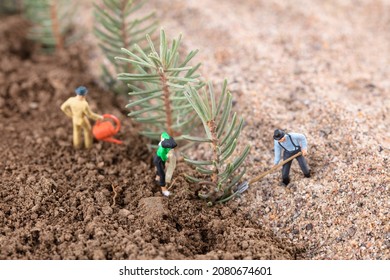 Tree planting and afforestation to prevent and control sand during the Arbor Day