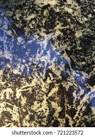 Tree pollen on the reflective surface of a puddle