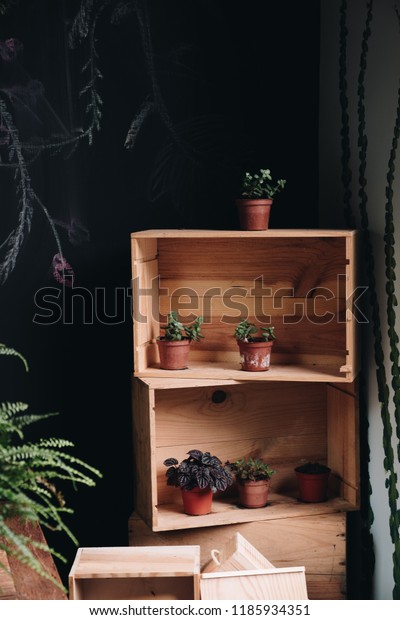 Tree Pot Decorate On Wooden Shelf Stock Photo Edit Now 1185934351