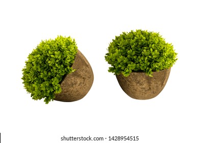 tree in a pots on white background - Shutterstock ID 1428954515