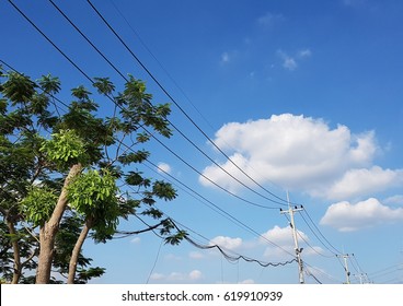 Tree And Power Line Pole With Blue Sky And Clouds.