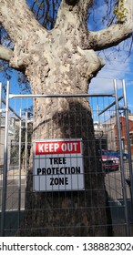 Tree Protection Zone (oak Tree)
North Melbourne, Australia
20/9/2018