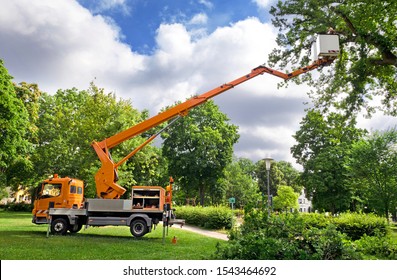 Tree Pruning On A Cherry Picker