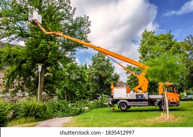 Tree pruning in a public park with a lifting platform