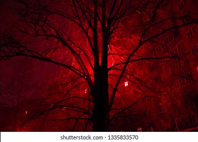 tree in red fog - Shutterstock ID 1335833570