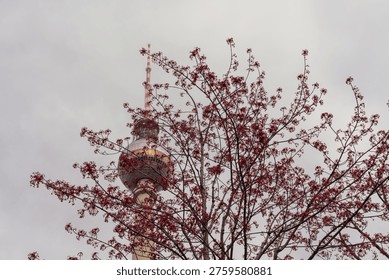 Tree with red leaves frames tower against gray sky. Urban skyline view with iconic structure partially hidden. Autumn or winter scene evokes calm, quiet atmosphere. Suitable for travel, architecture