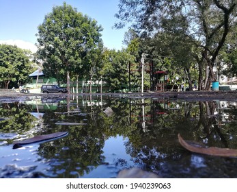 The tree with its reflect in the water