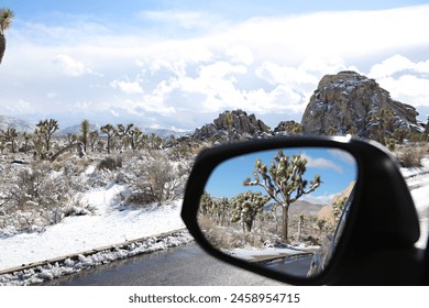 Tree reflection in car mirror against a snowy backdrop - Powered by Shutterstock