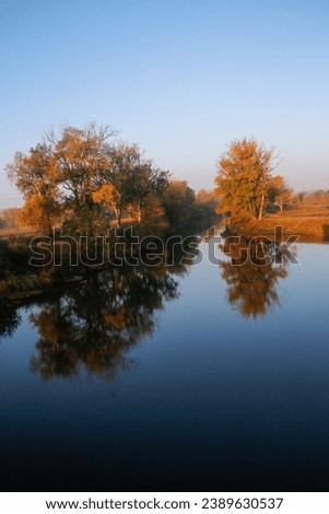Tree reflection on Meriç river in Edirne Stock photo © 
