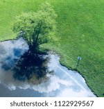 Tree reflection pond