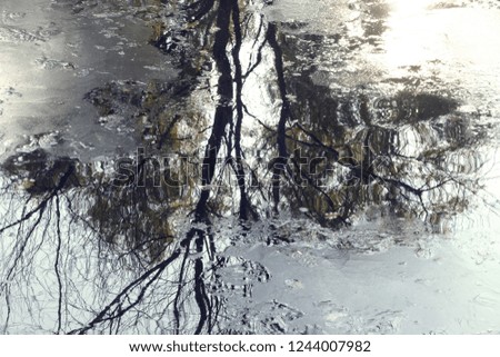 Similar – Image, Stock Photo submerged Lake Forest lake