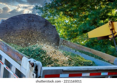 Tree Removing Service Trucks Chipper At Work For Tree Branches In Residential Area