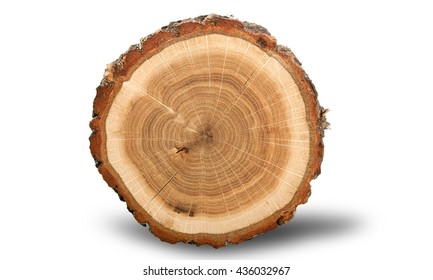 Tree Ring.