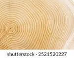 Tree Rings with abstract product background.