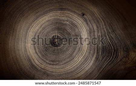 Tree rings background detailed pattern of end grain wood slab, Wood cut from tree stump.