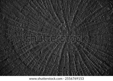 Tree rings background detailed pattern of end grain wood slab, Wood cut from tree stump.