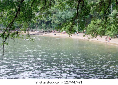 The Tree and River