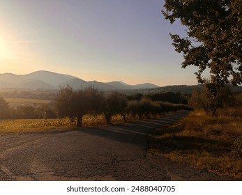 Tree Road through rural countryside - Powered by Shutterstock