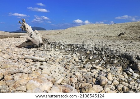 A tree root on the bottom of a dried up lake. The dried up lake Forggensee in Allgäu 