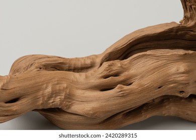 tree root on white isolated background