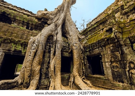 Tree roots on a gallery in 12th century khmer temple ta prohm, a tomb raider film location, angkor, unesco world heritage site, siem reap, cambodia, indochina, southeast asia, asia Foto stock © 