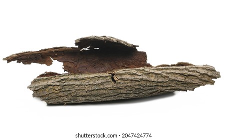 Tree Rotten Bark Roll Isolated On White Background