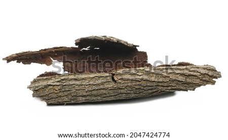 Tree rotten bark roll isolated on white background