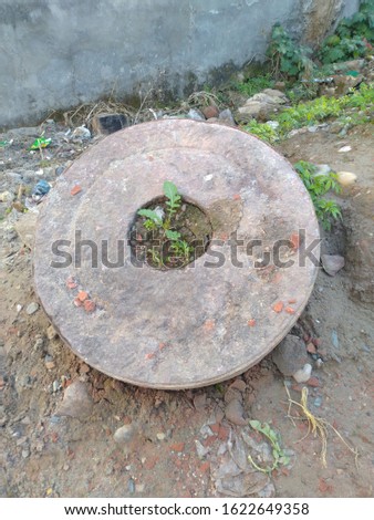 A tree in roundshaped stone 