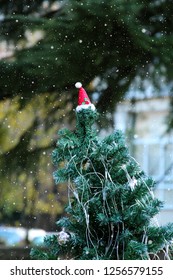 Tree with Santa's hat