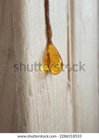 Tree sap dripping on pine wood