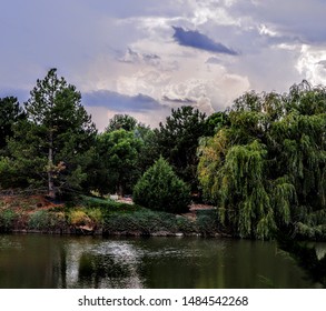 Tree Scape Across A Pond In Small Town Colorado