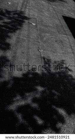 Similar – Image, Stock Photo shadow October wallroth