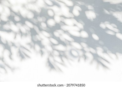 Tree shadow and leaf branch background.  Nature leaves tree branch dark shadow and light from sunlight dappled on white concrete wall texture for background wallpaper and design