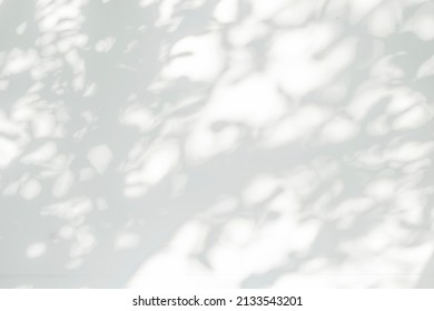 Tree shadow and leaf branch background.  Nature leaves tropical jungle tree branch dark shadow and light from sunlight on white wall texture for background wallpaper and design, shadow overlay effect