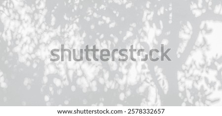 Tree shadow and leaf branch background. Nature leaves tropical jungle tree branch dark shadow and light from sunlight on white wall texture for background wallpaper and design, shadow overlay effect