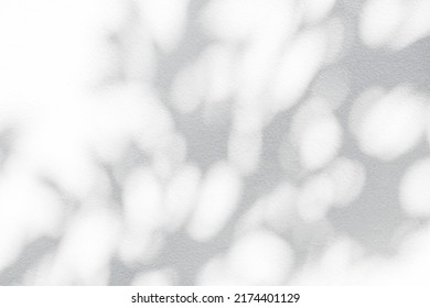 Tree shadow and leaf branch with light bokeh background. Nature leaves tropical jungle light and dark shadow dappled on white concrete wall texture for background wallpaper, overlay effect and design - Shutterstock ID 2174401129
