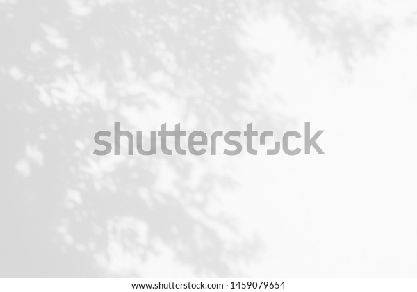 Tree shadow with leaves, branch and light shadow\
of big tree on white concrete wall background, monochrome, nature\
shadow art on wall\
