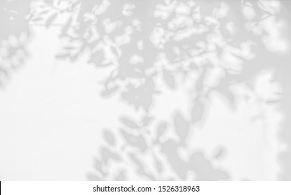 101,311 Shadow Tree Trunk Images, Stock Photos & Vectors | Shutterstock