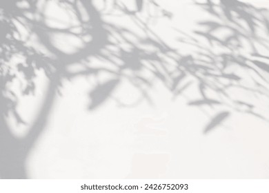 Tree shadow and light of leaf branch background. Nature leaves tropical jungle tree branch dark shadows and light from sunlight on wall texture for background wallpaper design, shadow overlay effect