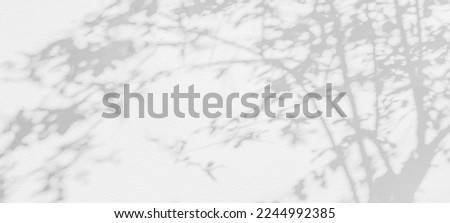 Tree shadow and light of leaf branch background. Nature leaves tropical jungle tree branch dark shadows and light from sunlight on wall texture for background wallpaper design, shadow overlay effect
